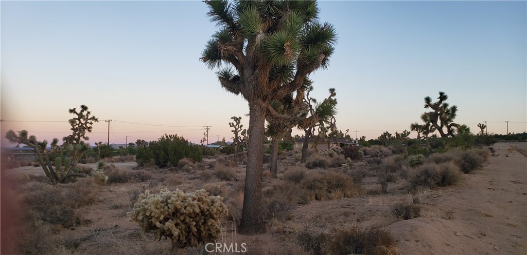 1234 Canton Street Yucca Valley, CA 92284 - Photo 10 of 27 a view of a city with a mountain in the background