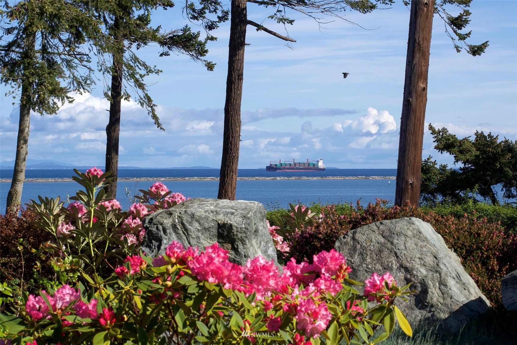 402 Marine Drive Sequim, WA 98382 - Photo 4 of 40 a view of a flower in a yard