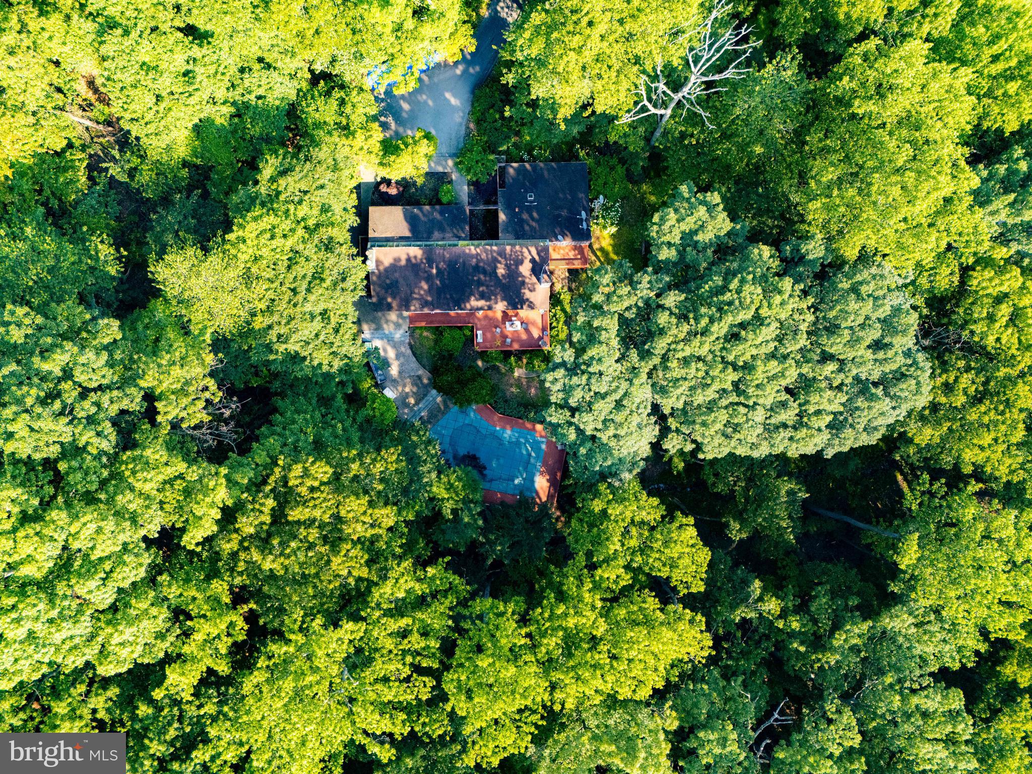 2101 Tufton Avenue Reisterstown, MD 21136 - Photo 114 of 125 a view of a garden with plants