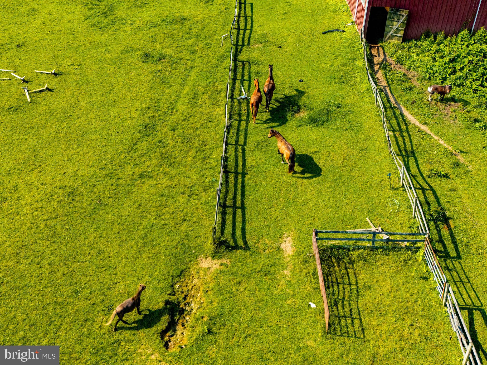 2101 Tufton Avenue Reisterstown, MD 21136 - Photo 124 of 125