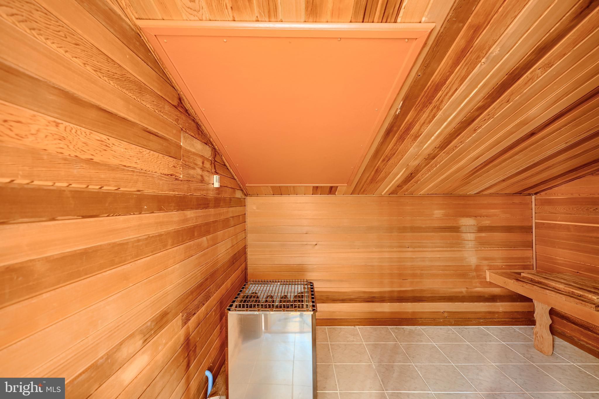 2101 Tufton Avenue Reisterstown, MD 21136 - Photo 43 of 125 sauna in main bathroom