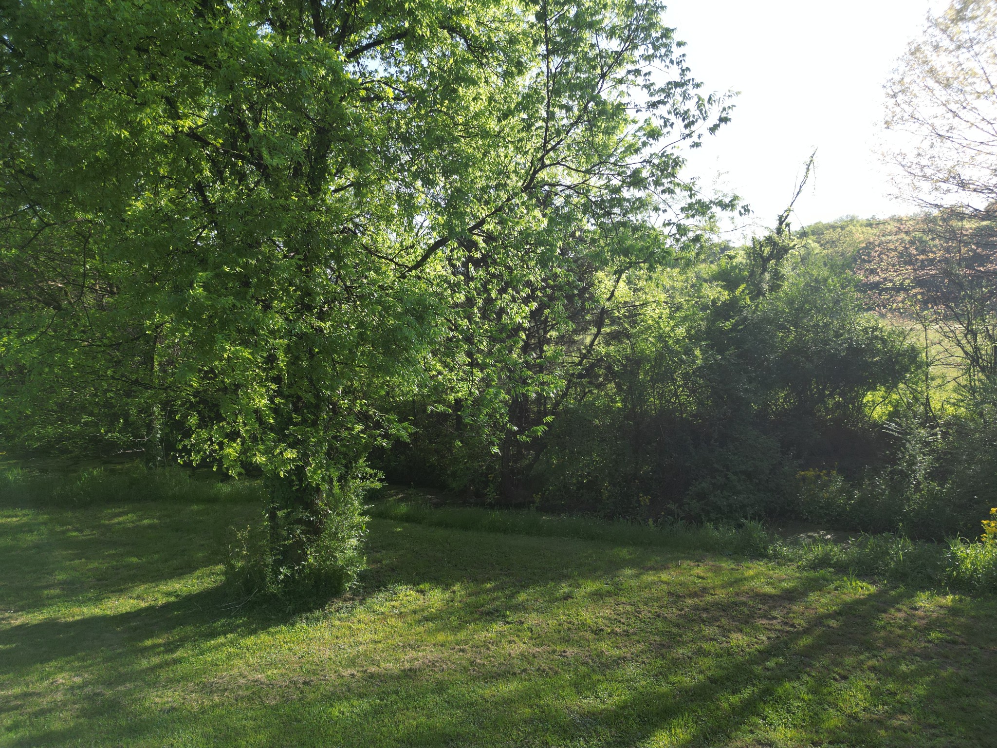 28 Henderson Road Lynchburg, TN 37352 - Photo 86 of 87 a backyard of a house with lots of green space