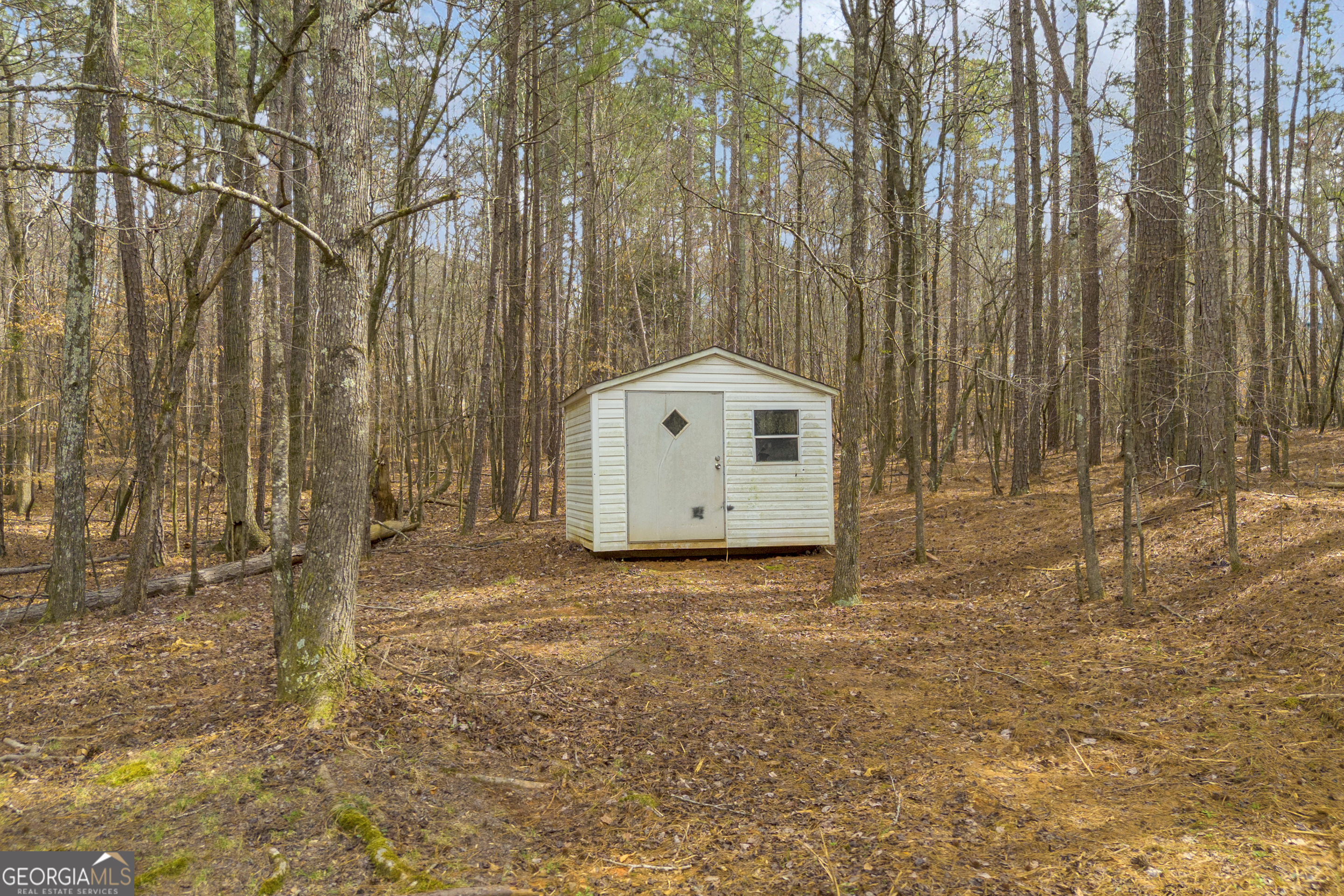 60 Tribble Bottoms Road Arnoldsville, GA 30619 - Photo 50 of 66 a view of a wooden house with a large trees