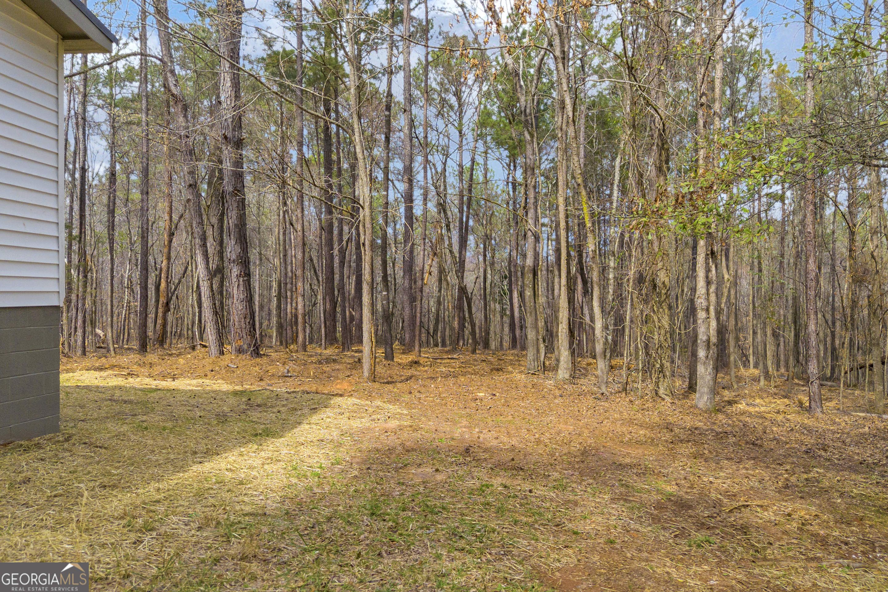 60 Tribble Bottoms Road Arnoldsville, GA 30619 - Photo 61 of 66 a view of outdoor space with wooden fence