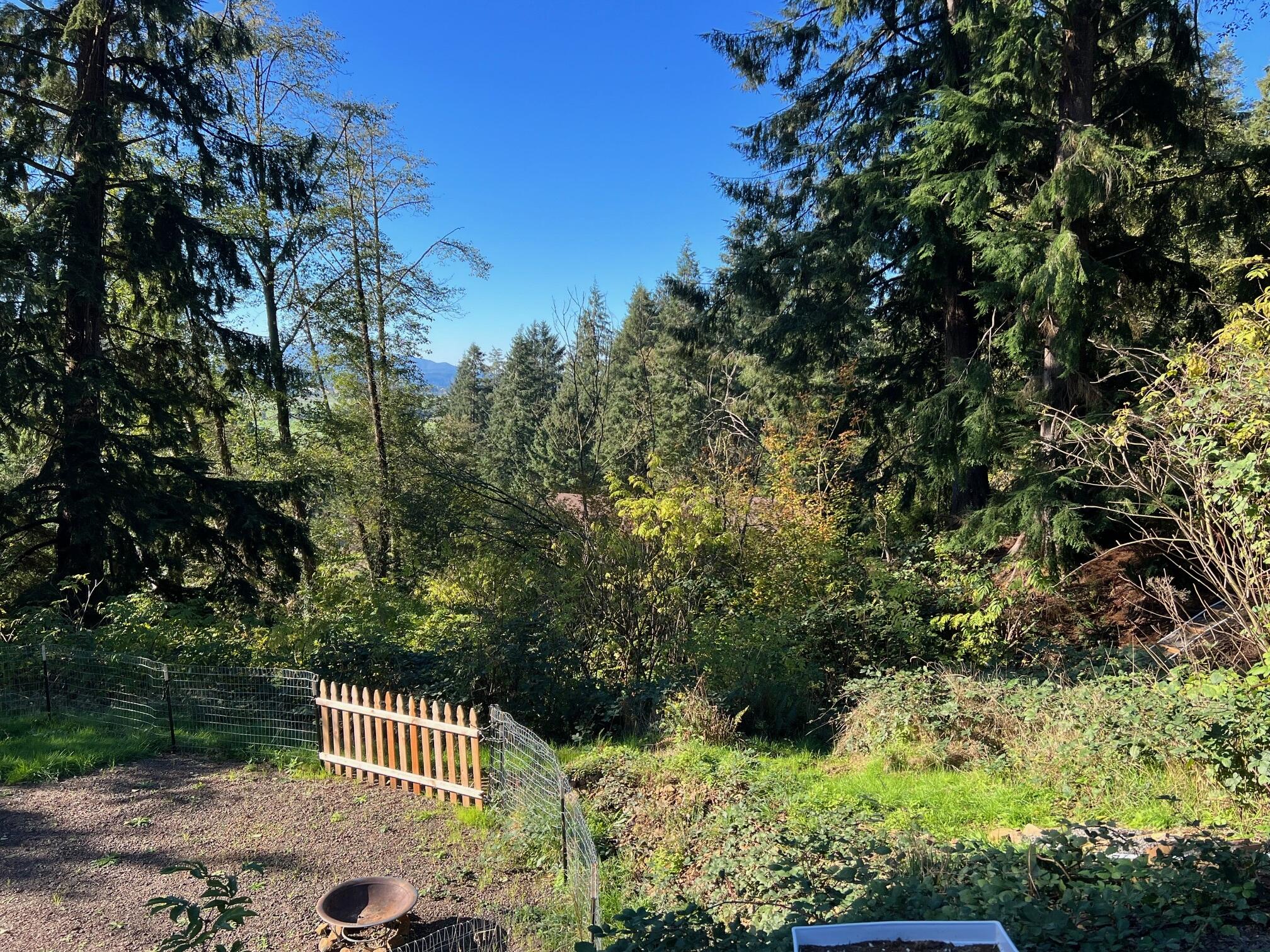 Tl#1000 Aldercrest Road Tillamook, OR 97141 - Photo 12 of 13 Alcrescrest Add 2