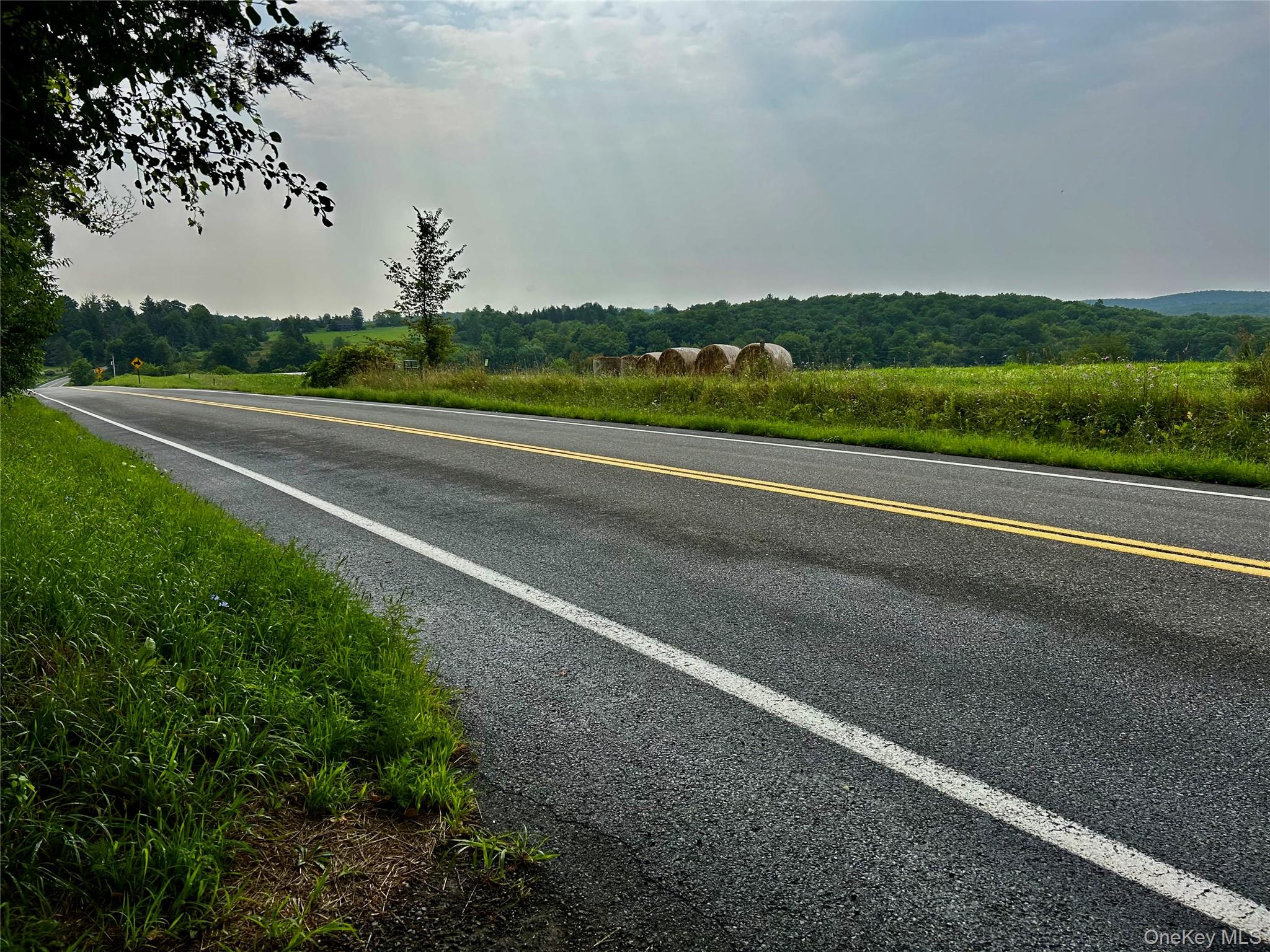 0 County Route 10 Ancram, NY 12502 - Photo 12 of 14 Rt 10 from entrance
