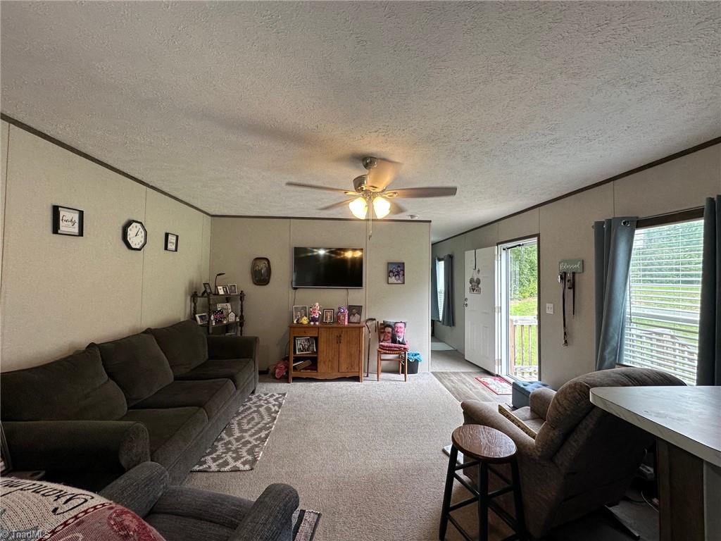 10444 Park Springs Road Ruffin, NC 27326 - Photo 4 of 21 Gallery Image 4