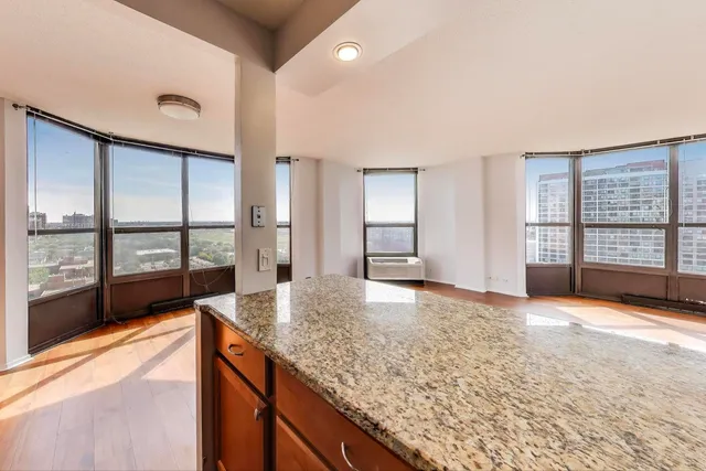 $415,000 | 901 South Plymouth Court, Unit 1606, Chicago, IL 60605