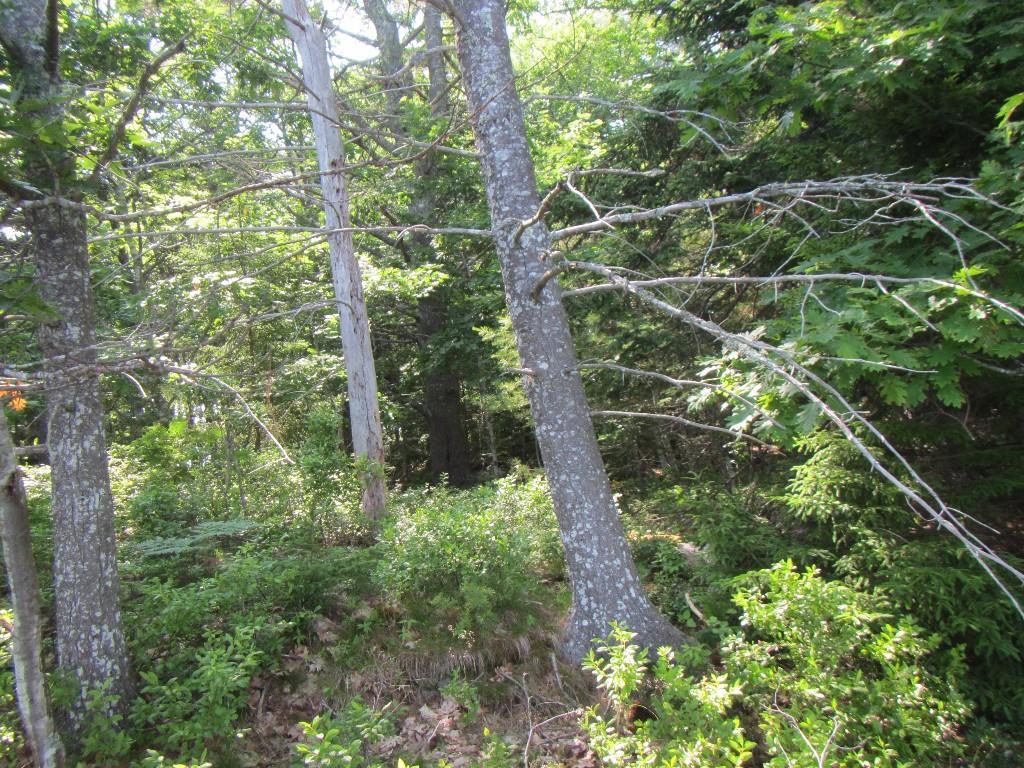 67 Brooks Point Road Westport Island, ME 04578 - Photo 20 of 22 Photo