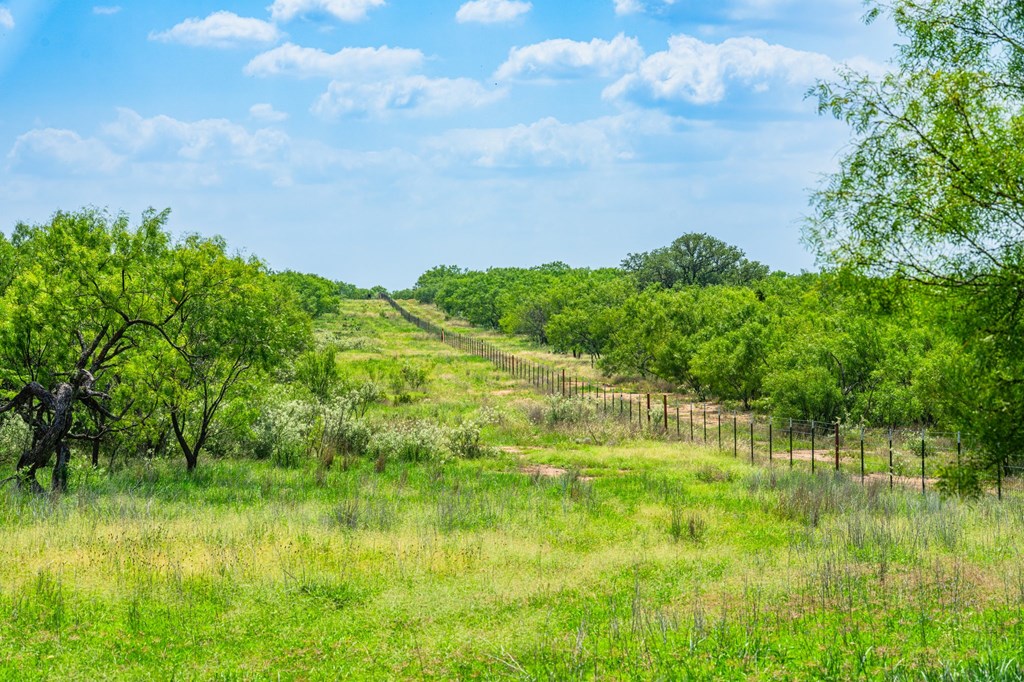 7602 County Road 113 Llano, TX 78643 - Photo 15 of 69