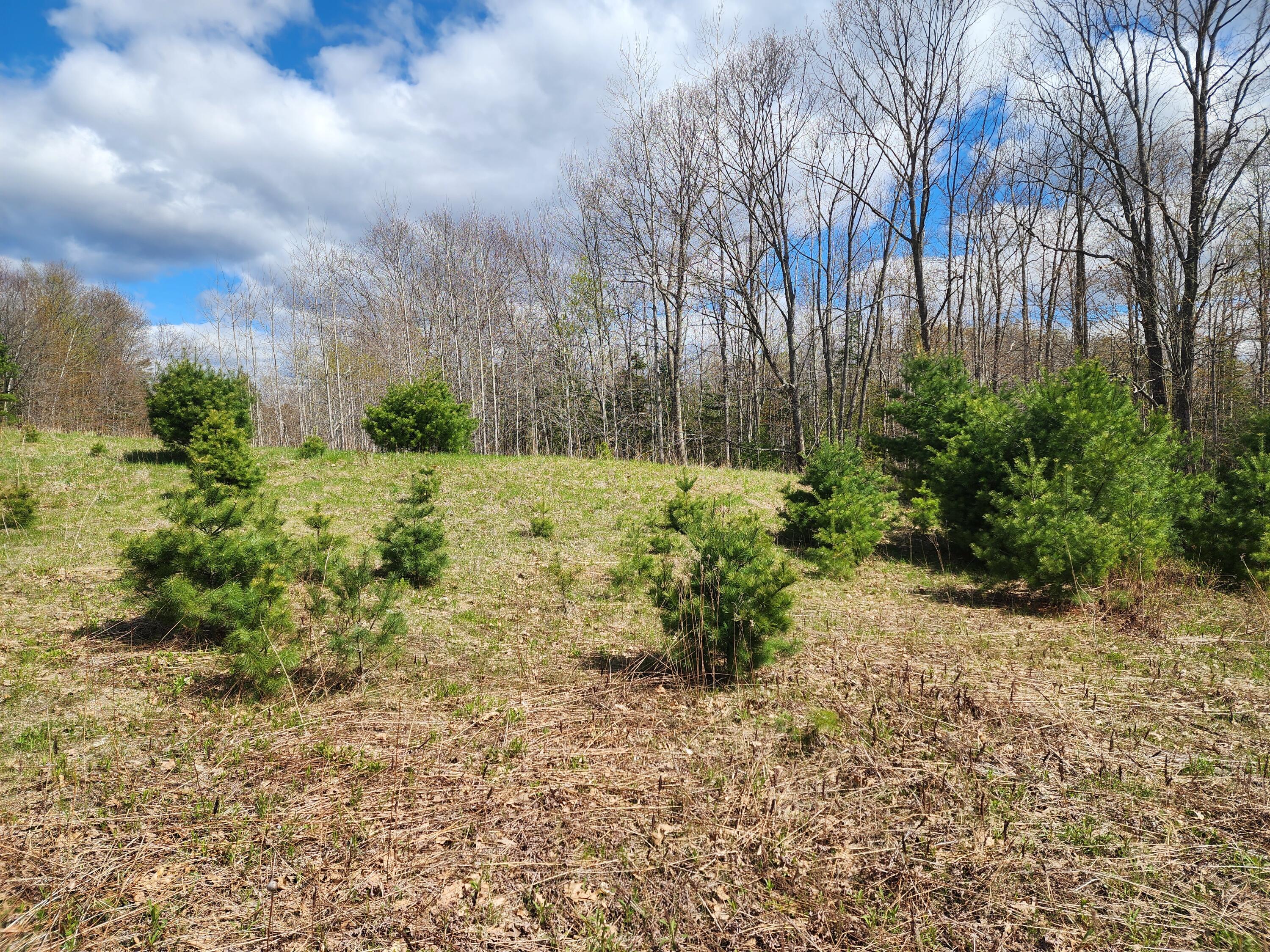 1333 Federal Road Livermore, ME 04253 - Photo 62 of 64 20260512_101019