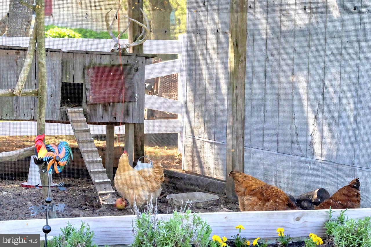 5616 Ryans Run Road East New Market, MD 21631 - Photo 40 of 57 Charming coop with happy hens.