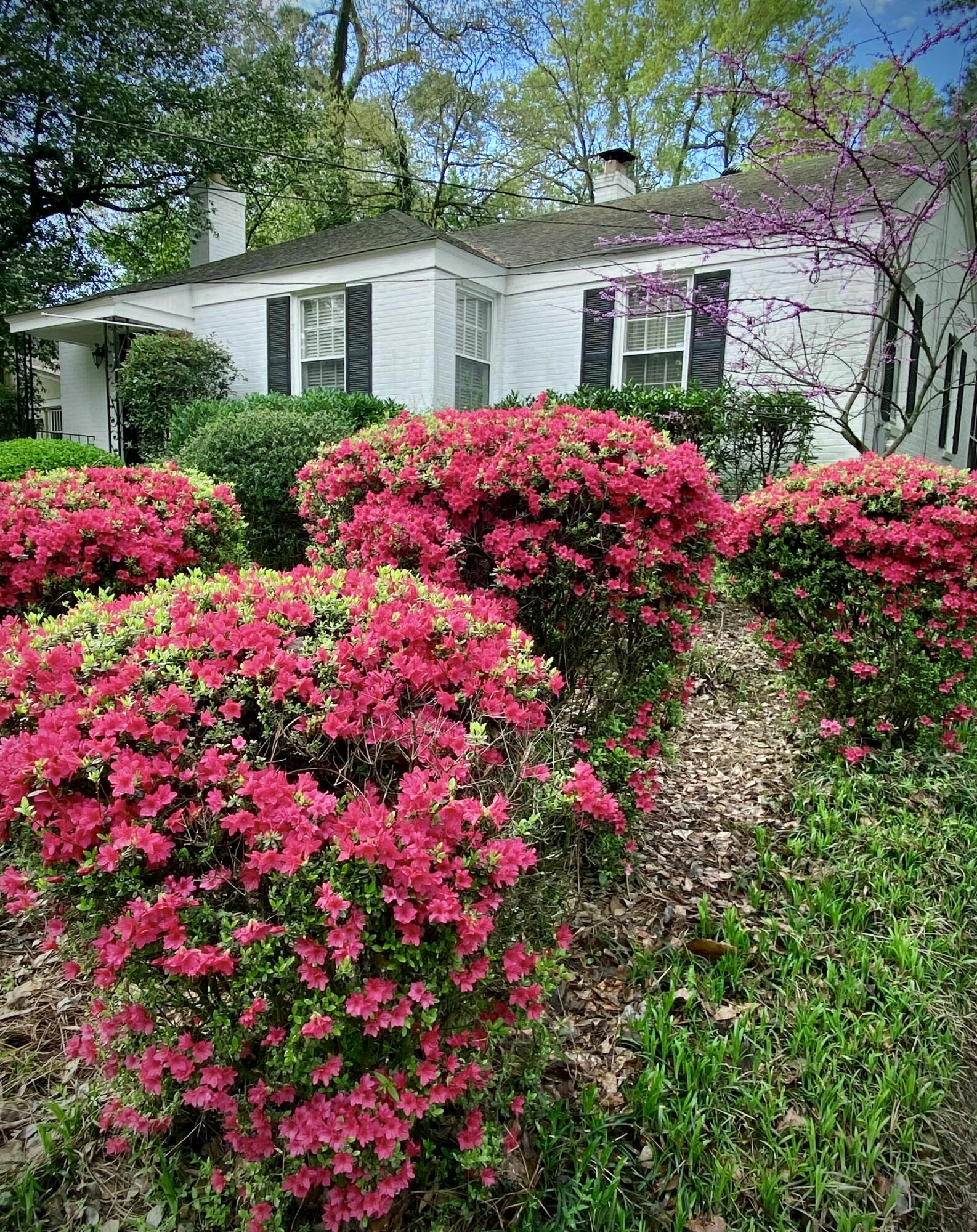 3126 Bransford Road Augusta, GA 30909 - Photo 3 of 26 IMG_1866