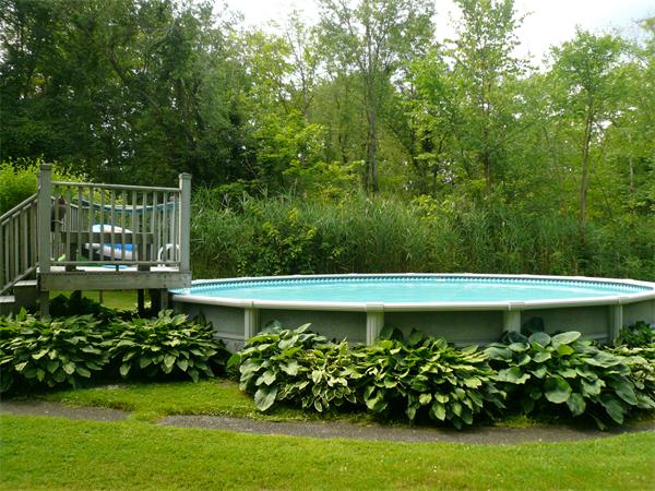 1164 Morgan Road West Springfield, MA 01089 - Photo 20 of 25 a view of a garden with a bench in the garden