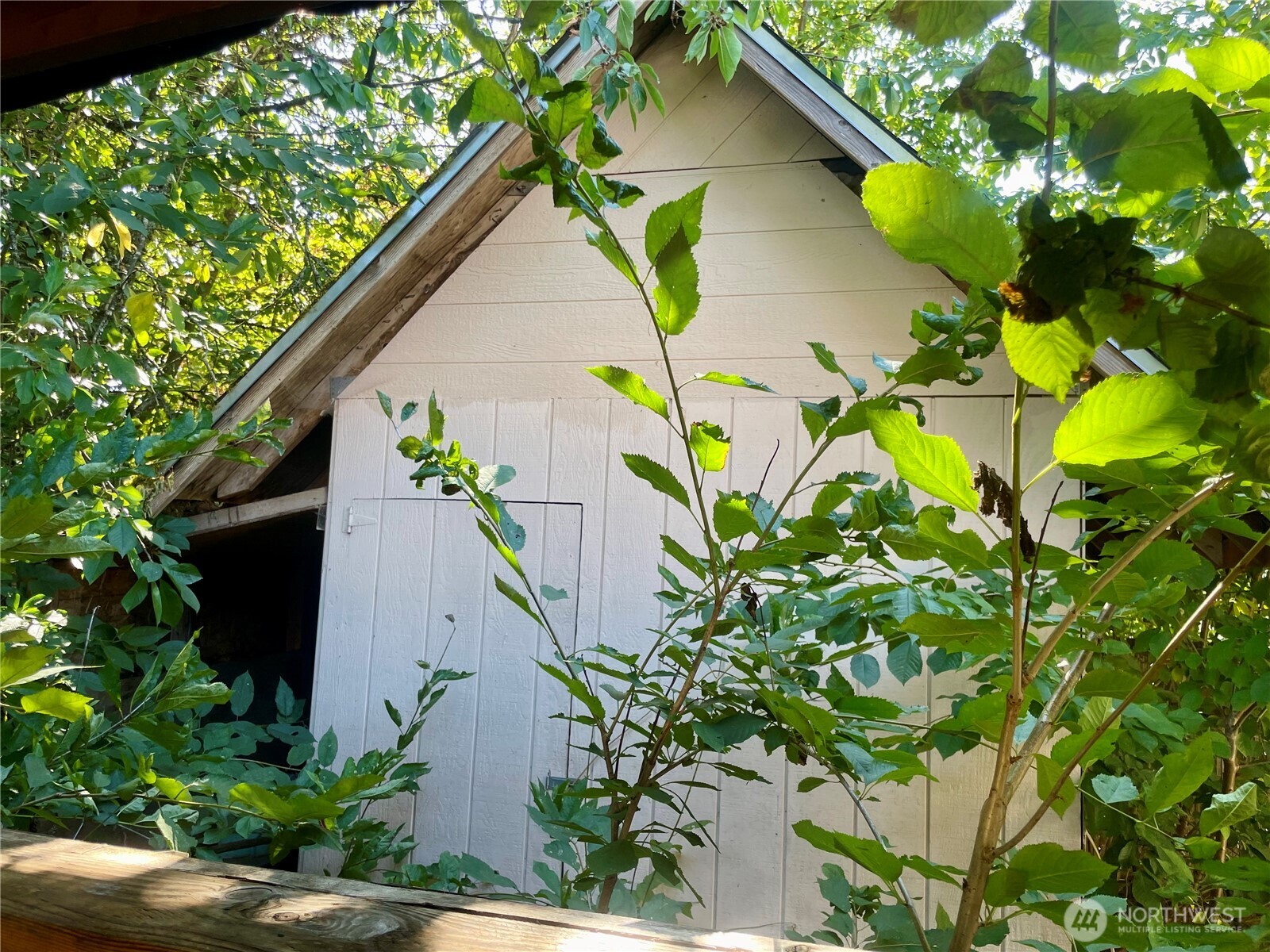 311 Cedar Court Winlock, WA 98596 - Photo 30 of 36