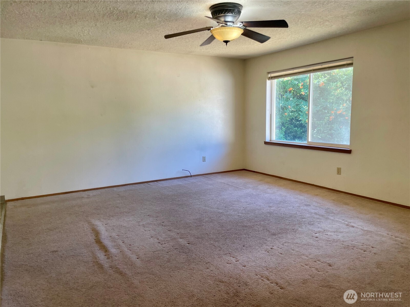 311 Cedar Court Winlock, WA 98596 - Photo 8 of 36