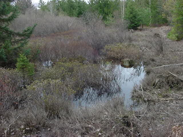 0 Stutts Road Manistique, MI 49854 - Photo 5 of 6 Gallery Image 5