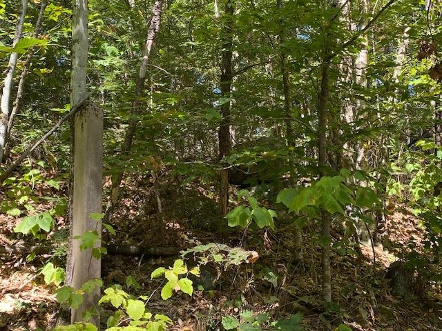 86 Route 103 Sutton Nh 03260 Warner, NH 03278 - Photo 19 of 19