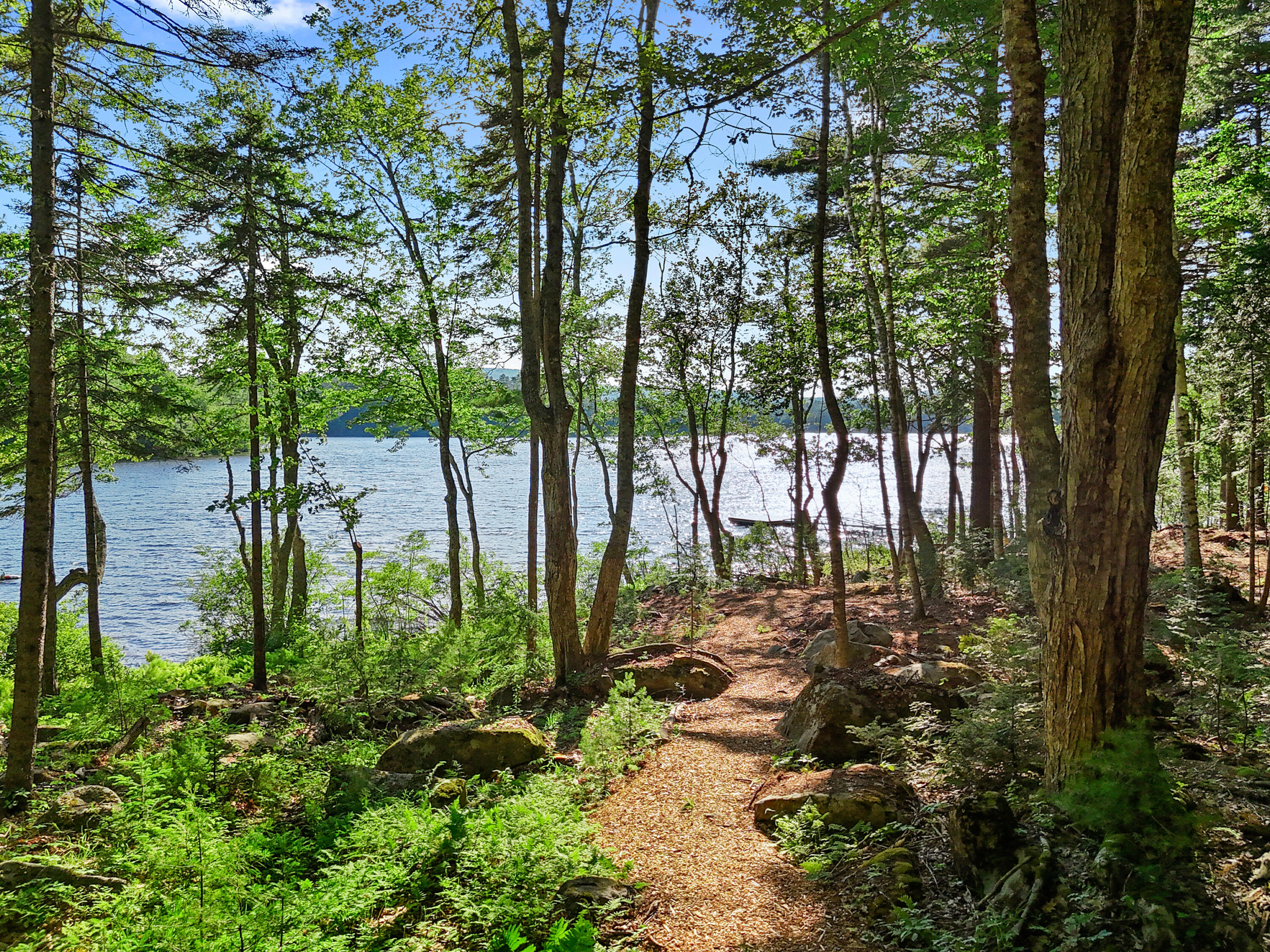 46 Mullins Bog Road Lincolnville, ME 04849 - Photo 6 of 24 DJI_20260624171643_0206_D-1