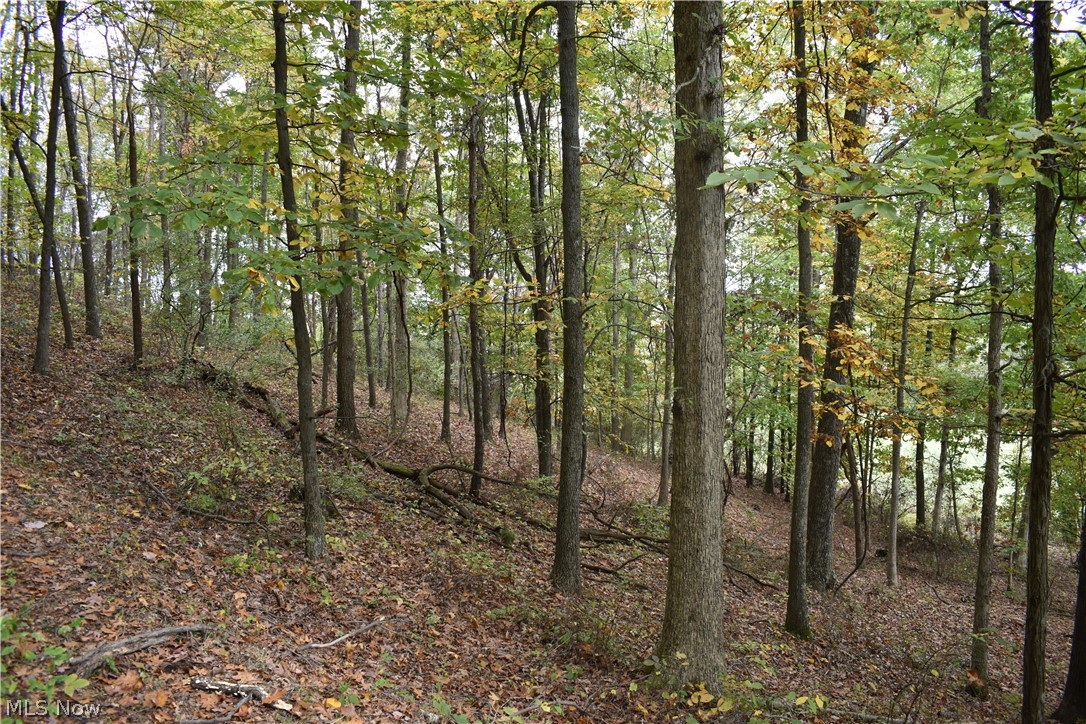 Burkhart Road Tippecanoe, OH 44699 - Photo 12 of 24 Gallery Image 12