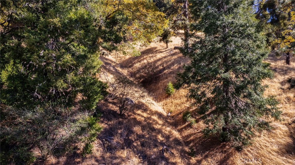 0 Mojave Road Cedarpines Park, CA 92322 - Photo 5 of 41