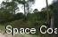 4750 Pine Needle Road Mims, FL 32754 - Photo 6 of 6 Pine Needle 6