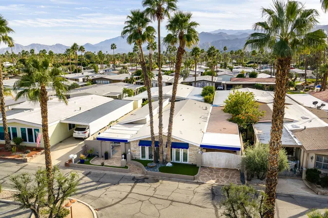 a view of a lake with palm trees