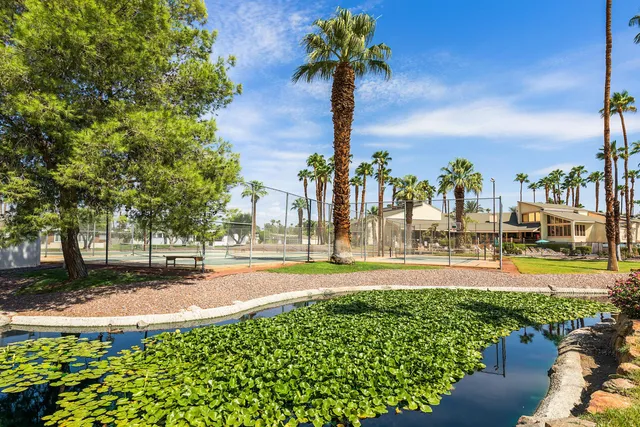 a view of a yard with plants and large trees