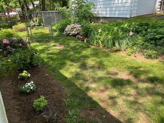 29 Shawmut Terrace Framingham, MA 01702 - Photo 39 of 42 a view of yard with green space
