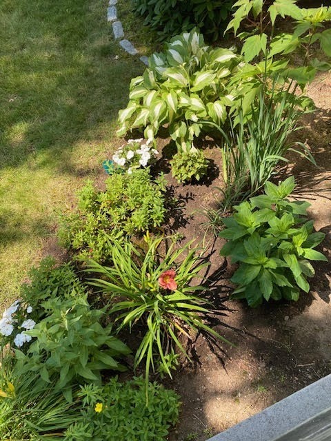 29 Shawmut Terrace Framingham, MA 01702 - Photo 40 of 42