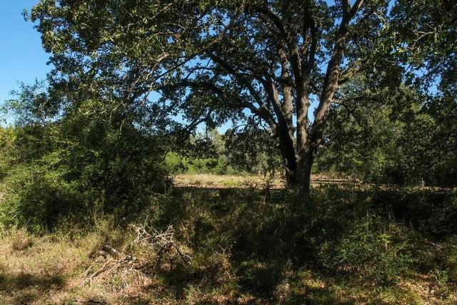 a view of empty field with trees in background