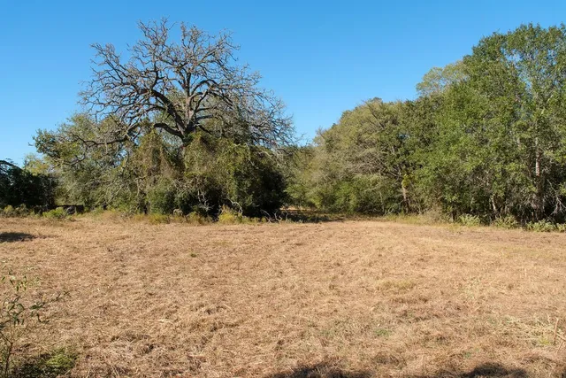 a view of lake with green space