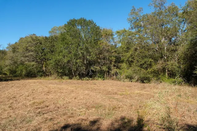 a view of a yard with a tree