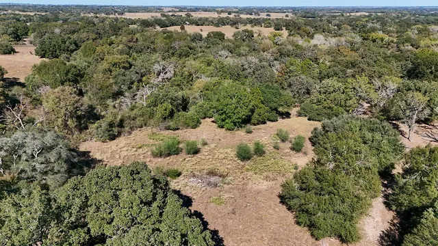 a view of a dry yard with trees in the background