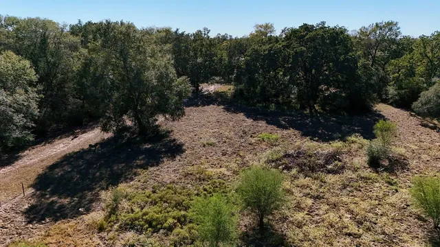 a view of a yard with wooden fence