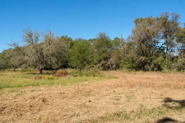 a view of outdoor space and yard