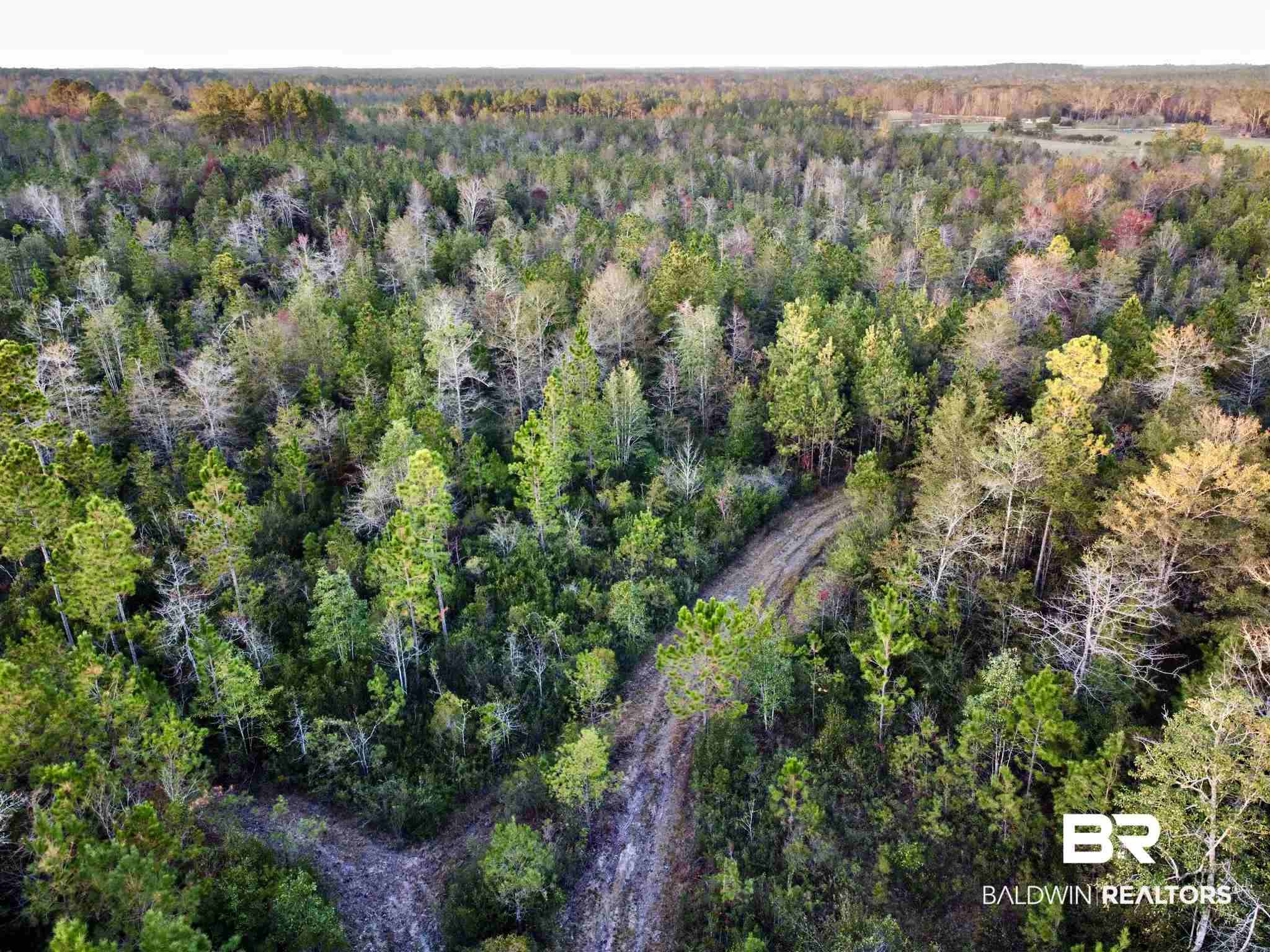 0 Country Road Fruitdale, AL 36539 - Photo 28 of 47