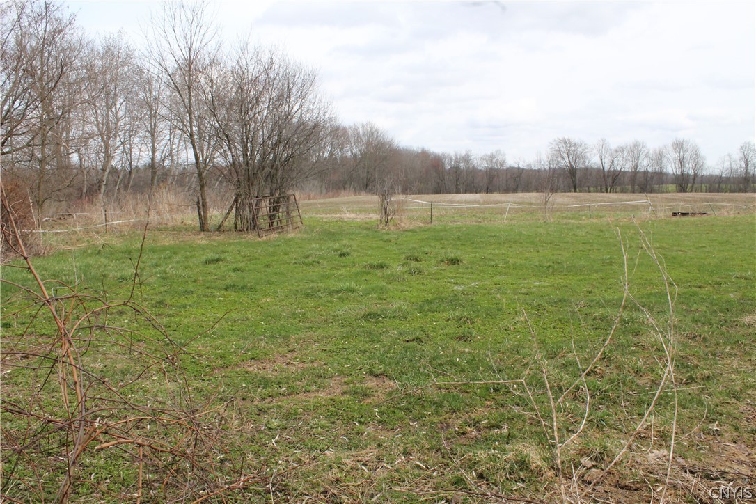 10074 Bonta Bridge Road Jordan, NY 13080 - Photo 41 of 50