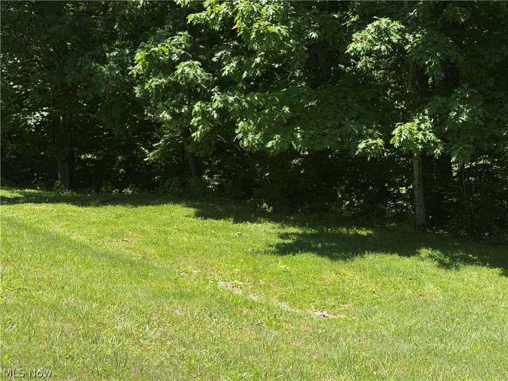 345 Tower Flat Top, WV 25841 - Photo 6 of 18