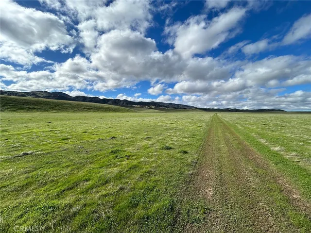 a view of an ocean from a yard