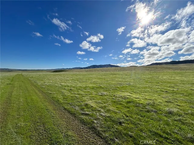 a view of yard with ocean view