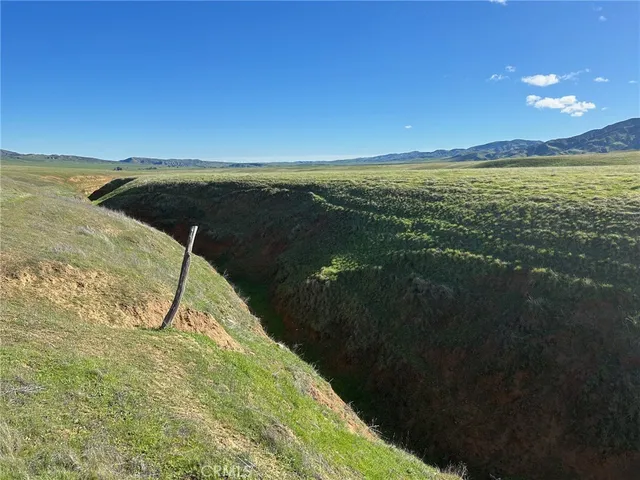 a view of a lake from a yard