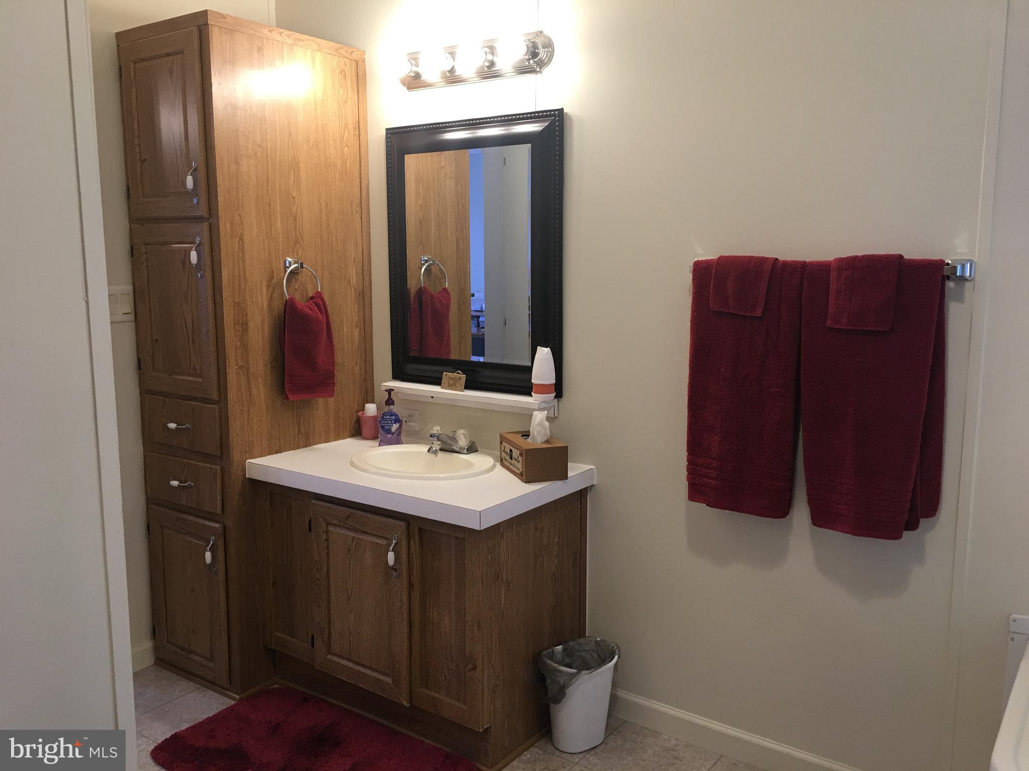 10655 Bailey Springs Road, Unit 43 Waynesboro, PA 17268 - Photo 10 of 24 Bath (Master)