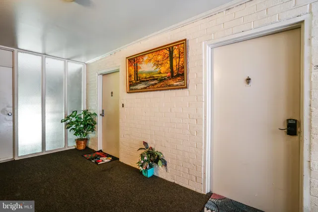 a potted plant sitting in front of a door