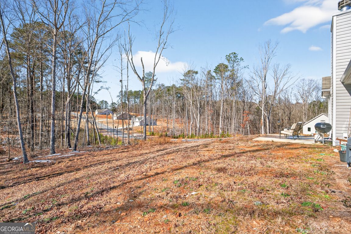142 Rolling Wds Lane, Unit 29 Colbert, GA 30628 - Photo 14 of 34 a view of a yard with snow on the road