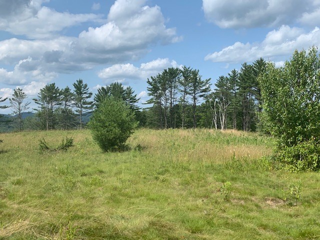 Lot 2 Gannon Road Littleton, NH 03561 - Photo 3 of 5