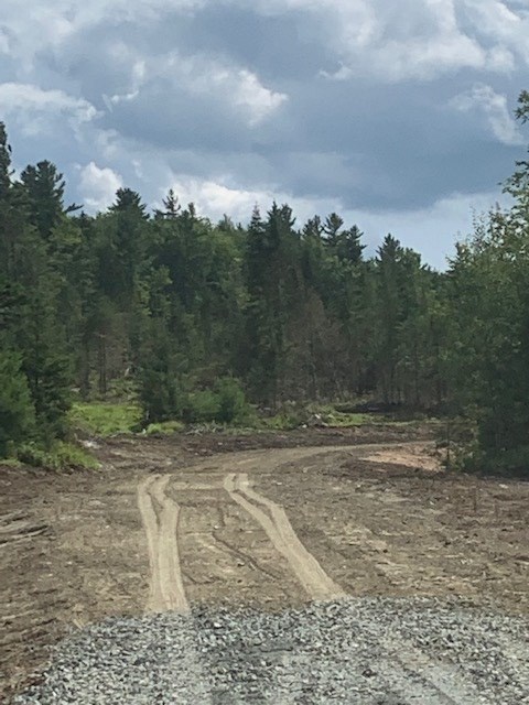 Lot 2 Gannon Road Littleton, NH 03561 - Photo 4 of 5