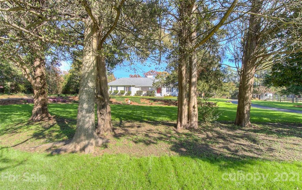 6955 Old Providence Road Charlotte, NC 28226 - Photo 39 of 44 a view of a yard with plants and large trees
