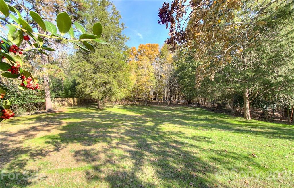 6955 Old Providence Road Charlotte, NC 28226 - Photo 42 of 44 a view of a trees in a yard