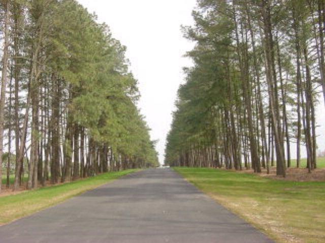 91 Coventon Lane, Unit 91 Ridgeway, VA 24148 - Photo 2 of 7